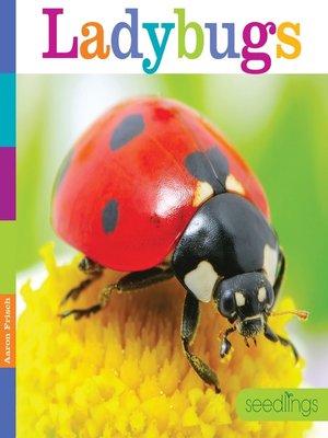 cover image of Ladybugs